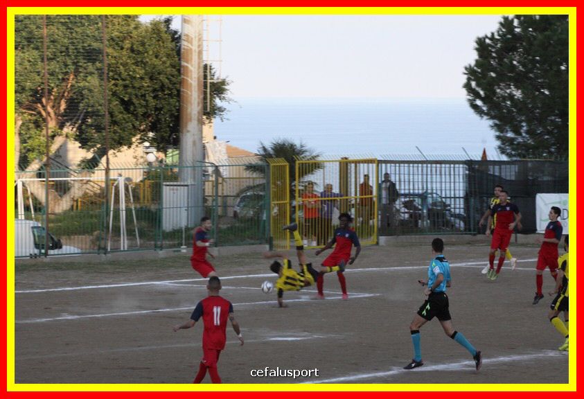 181111 Cepha_Milazzo 160_tn.JPG